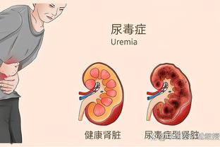 半岛客户端最新版本是多少啊截图4